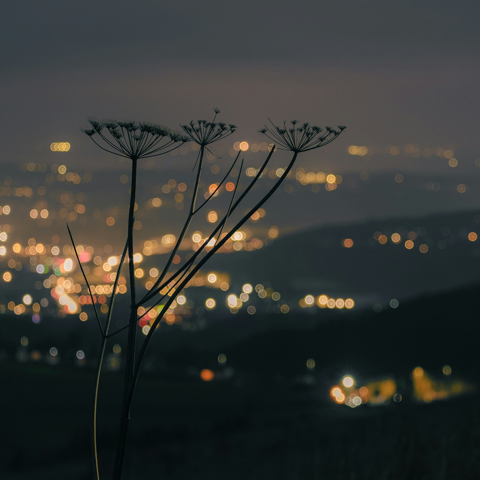 Huddersfield